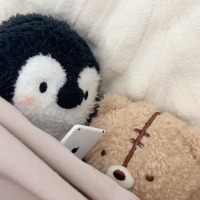 不要动来动去啦～ 封面