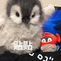 哄睡 乖 我在呢 封面