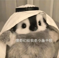 1.一个夸夸~ 封面